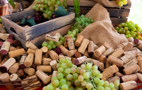 Wine in the Woods Corks