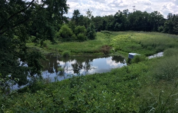 Gerwig Lane Dam Retrofit Project