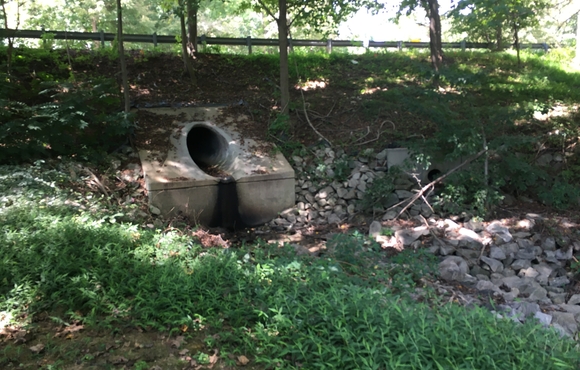 Ducks Foot Lane Stream Restoration Project