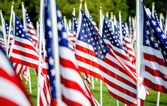 A field of small American flags