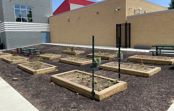 community garden boxes outside school building