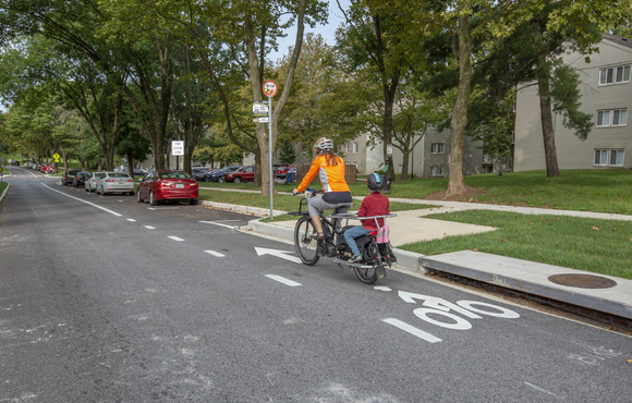 Bike lane photo