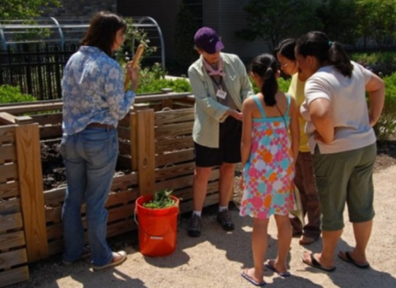 compost bin demonstration