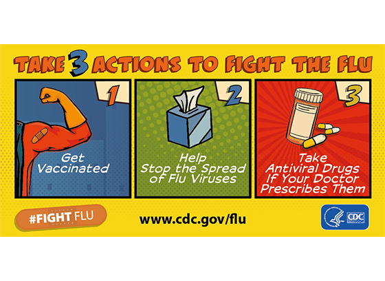 Seasonal flu graphic (CDC)
