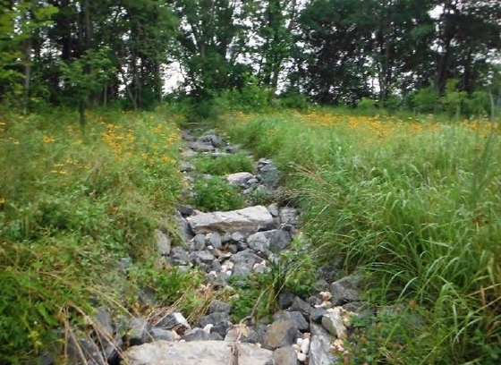 stone trail court outfall stormwater