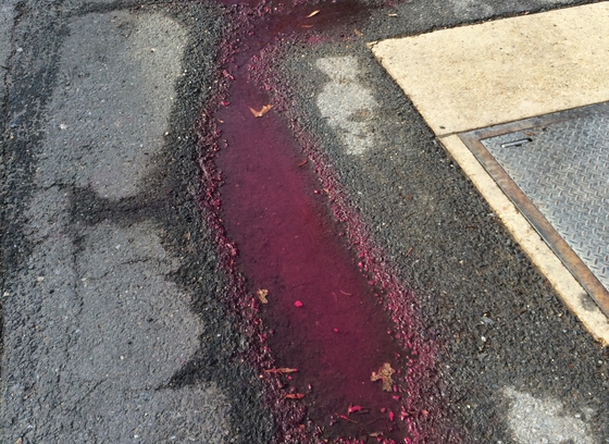 paint spill illicit discharge