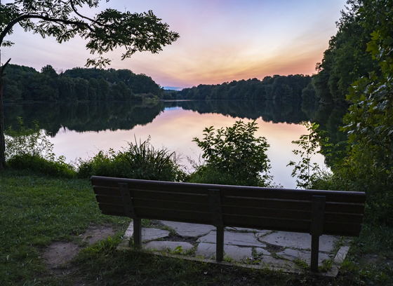 Memorial Bench Centennial