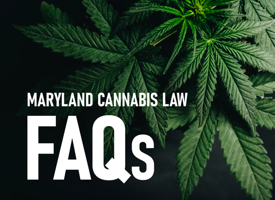 Maryland Cannabis Law FAQs