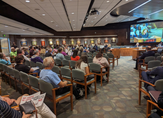 County Council Public Hearing