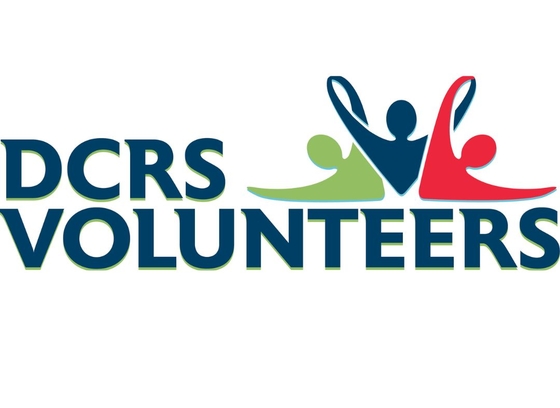 volunteer logo