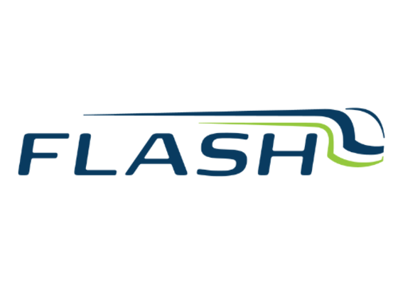 Flash logo