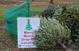 merry mulch drop off