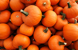 Pumpkins 