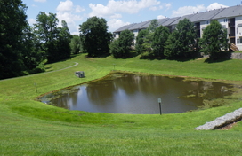 stormwater pond feature