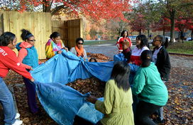 group of people moving tarp full of leaves