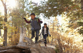 youth trail hikes