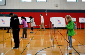 Several people stand at voting booths