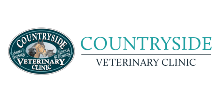 Countryside logo with writing.png