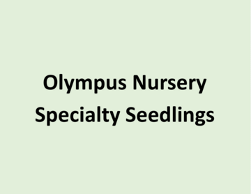 olympus nursery specialty seedlings