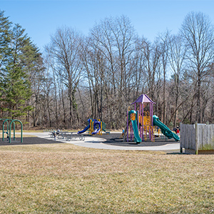 Dickinson Park Playground