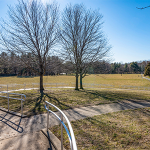 East Columbia Library Park