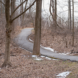 Cypress Mese Trail