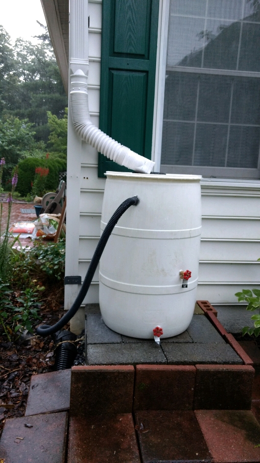 rain barrel example