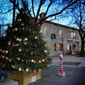 Image of Christmas tree in Old Ellicott City