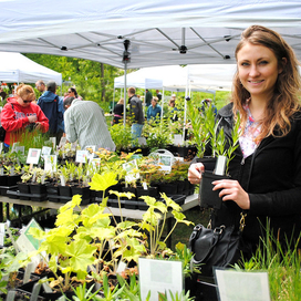 native plant palooza