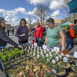 greenfest native plants 2022