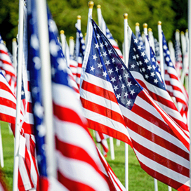 A field of small American flags