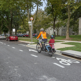 Bike lane photo